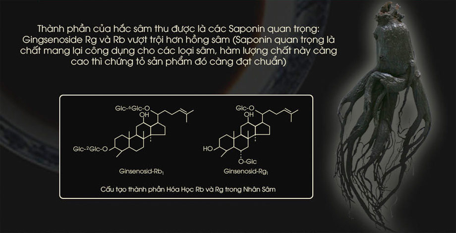 Cao hắc sâm cô đặc 100% có chứa hàm lượng saponin rất quang trọng Cao hắc sâm cô đặc 100% có chứa hàm lượng saponin rất quang trọng