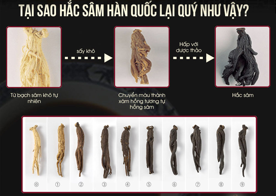 Quy trình từ lúc khai thác nhân sâm tươi đủ 6 năm đến -> Hắc sâm và chiết xuất thành cao là cả một quá tính dài Quy trình từ lúc khai thác nhân sâm tươi đủ 6 năm đến -> Hắc sâm và chiết xuất thành cao là cả một quá tính dài