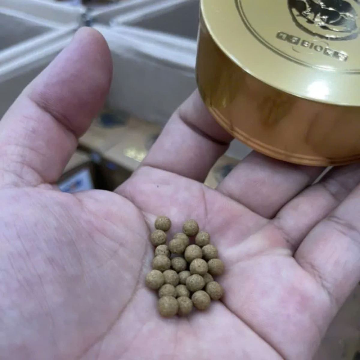 Dạng viên nén của Cao xương ngựa Hàn Quốc rất tốt cho người gặp vấn đề về xương khớp Dạng viên nén của Cao xương ngựa Hàn Quốc rất tốt cho người gặp vấn đề về xương khớp