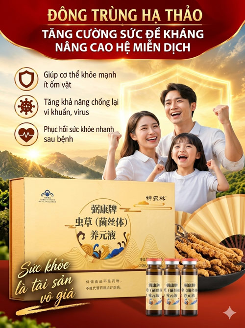 Tinh chất đông trùng hạ thảo lên men Trung Quốc 60 ống