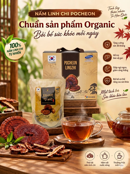 Nấm linh chi Organic Pocheon Hàn Quốc túi 1 kg