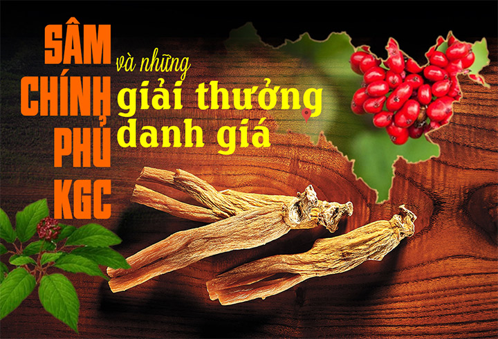 Sâm chính phủ KGC