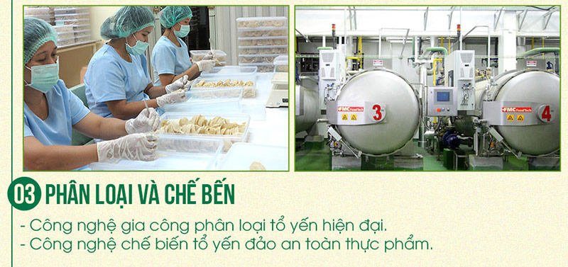 Phân loại và chế biến Yến đào tự nhiên đạt tiêu chuẩn an toàn thực phẩm quốc tế