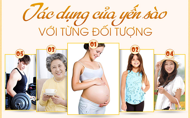 Tác dụng của Yến sào yến đảo tự nhiên Khánh Hòa mọi đối tượng đều sử dụng được