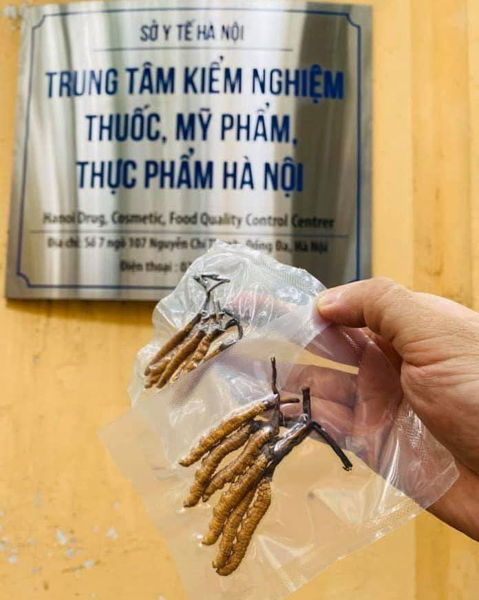 Trung tâm kiểm nghiệm thuốc, mỹ phẩm thực phẩm Hà Nội đối với Đông trùng hạ thảo